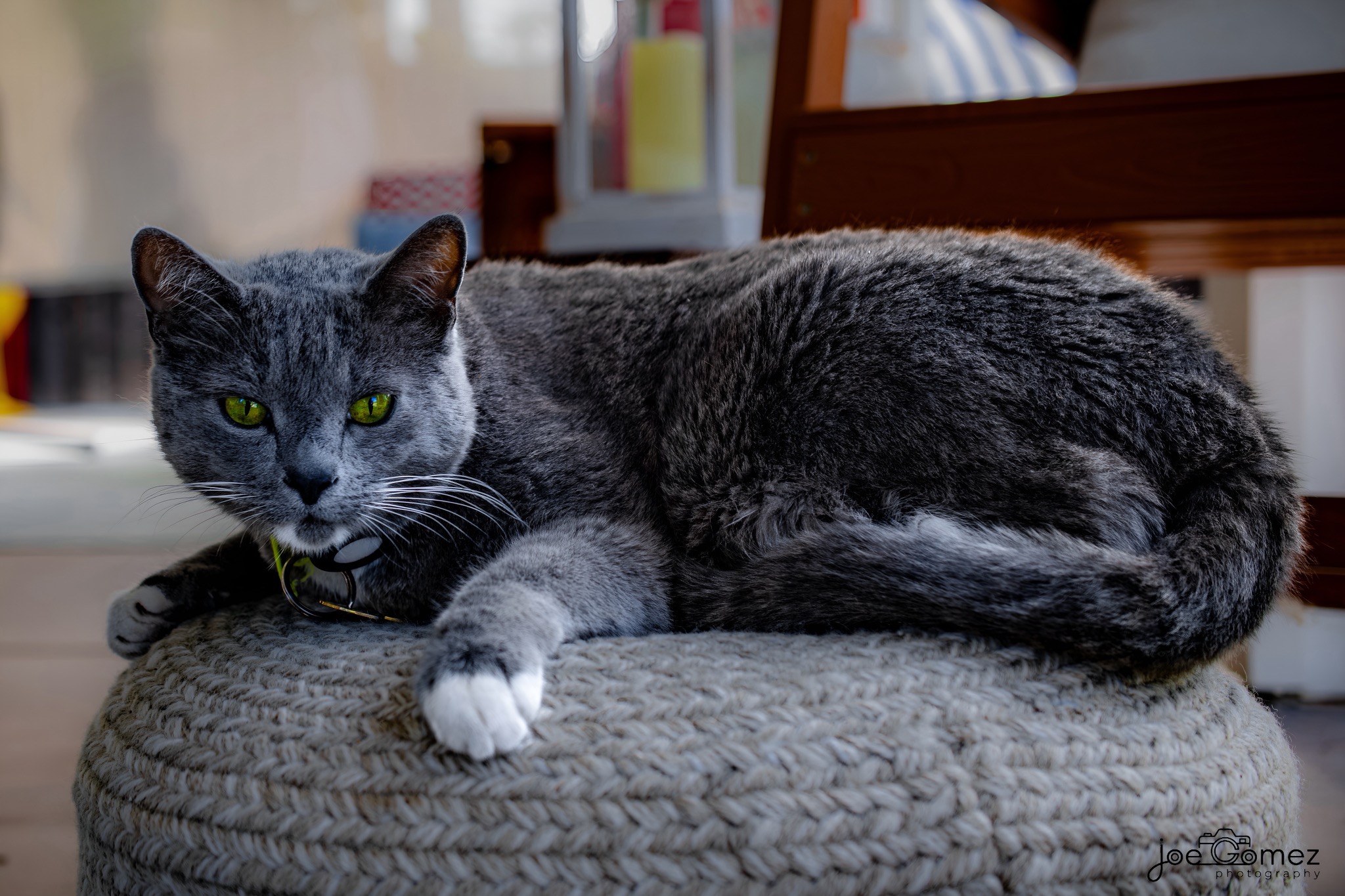 Gray cat with bright eyes resting on a woven cushion