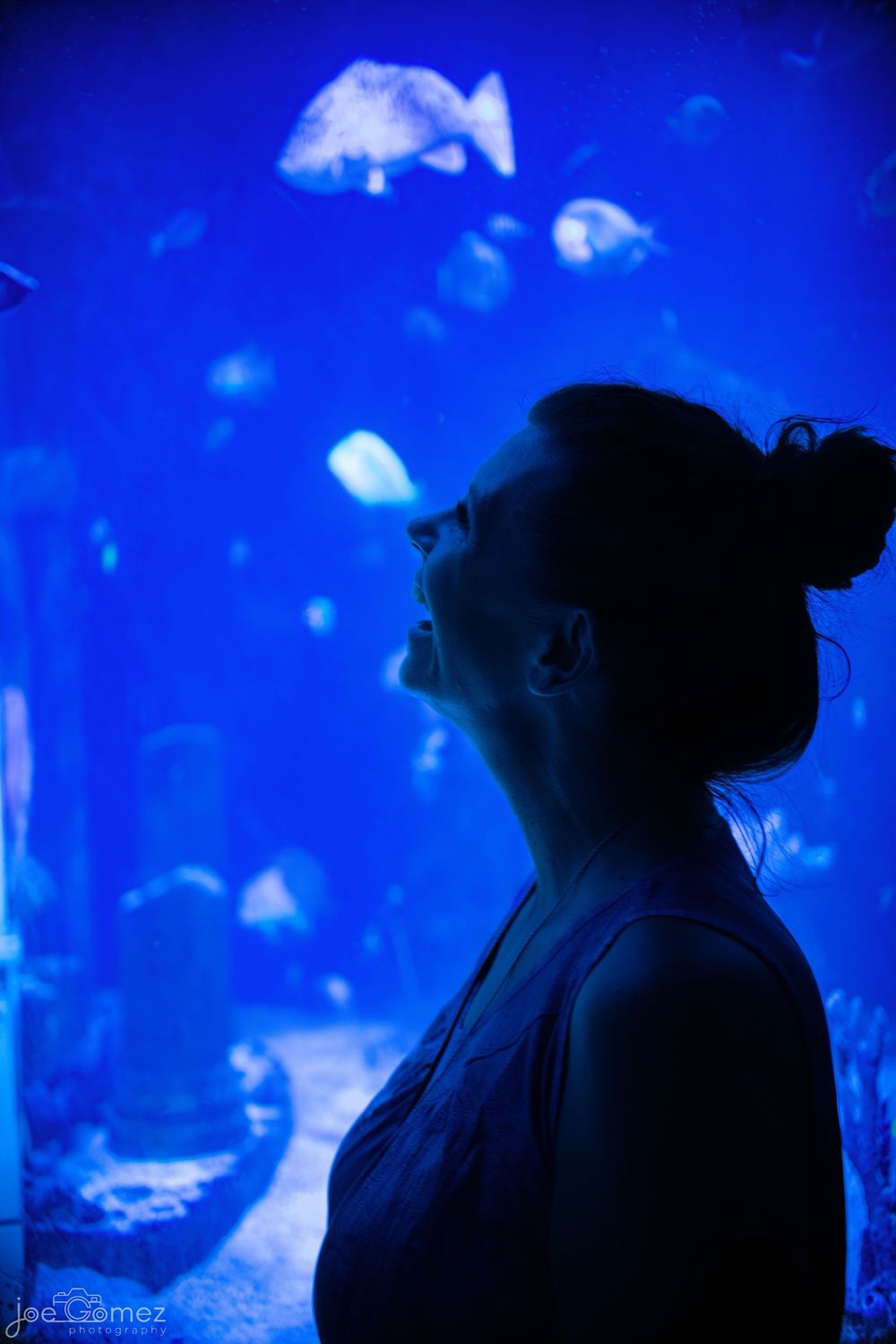 Silhouette of a child watching illuminated jellyfish during a milestone portrait session at a San Diego aquarium.